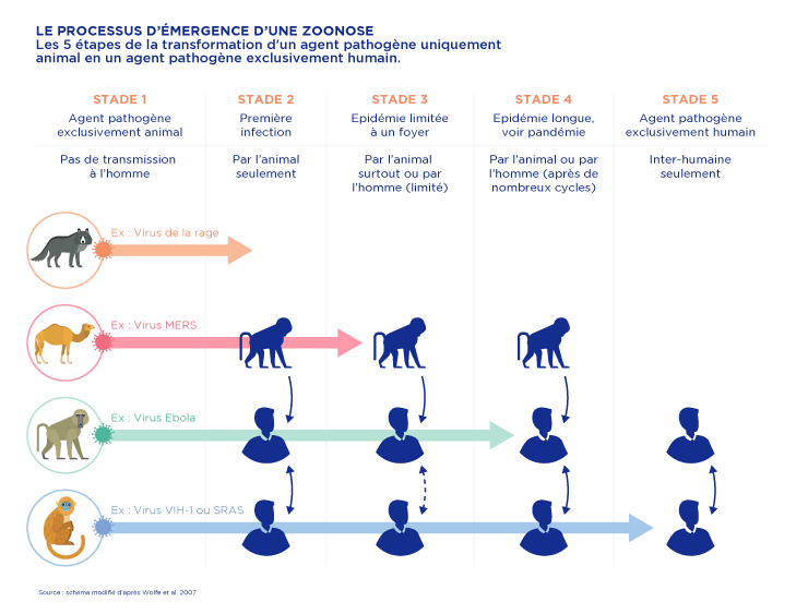 Comment faire front contre les zoonoses ?  Leem